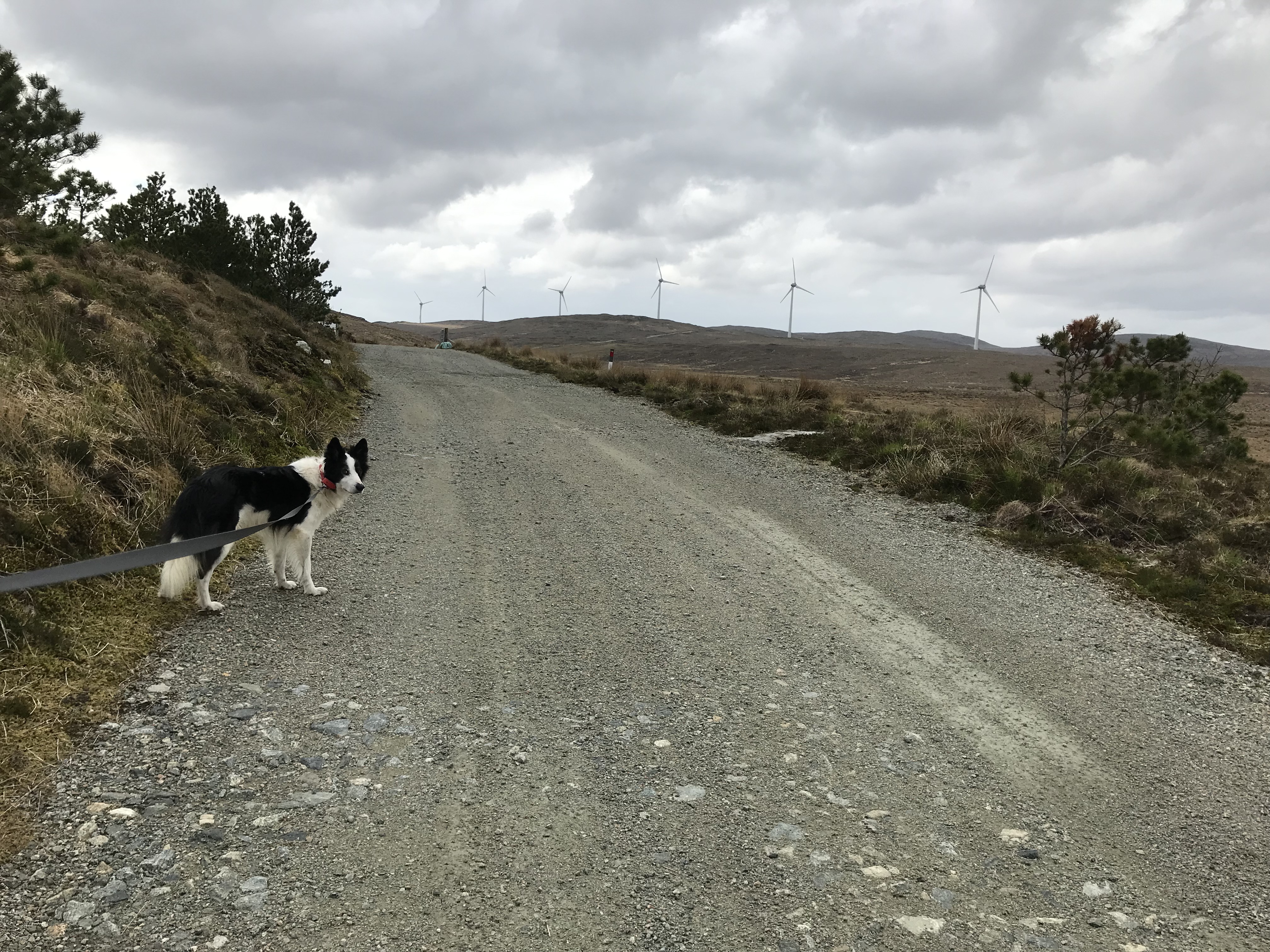 990ED282-2CFC-4E20-8ABB-BEFA9E36FCBB